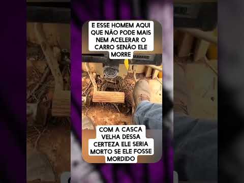 Homem subiu no trator ligou, depois que percebeu a Cobra!