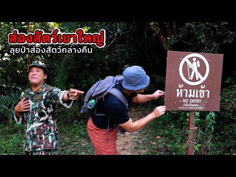 ลุยป่าส่องสัตว์ เส้นทางที่ 4 อุทยานแห่งชาติ เขาใหญ่