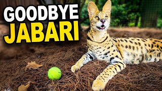 We Miss You Jabari
