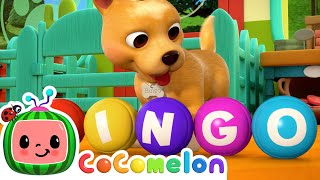 Bingo Is His Name! |  Karaoke Nursery Rhymes & Kids Songs - CoComelon