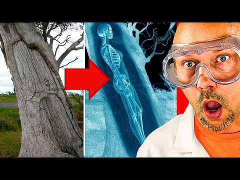 The world's CRAZIEST discoveries