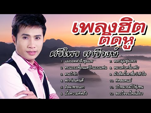 เพลงฮิตติดหู ฟังเพลงเก่าๆ ยาวต่อเนื่อง | ศรีไพร สารีวงษ์ #แม่ยอดตำลึงชุมแพ #คบแบบเพื่อนแต่รักแบบแฟน