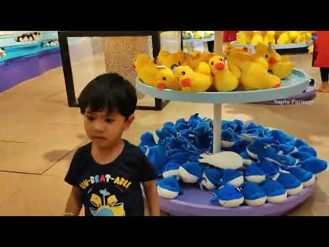 Yugan Visits an Aquarium | Underwater Fish Tunnel Aquarium In Chennai | VGP Marine Kingdom Aquarium|