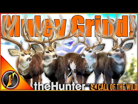 Diamonds EVERYWHERE! | Mule Deer Great One Grind in theHunter Call of the Wild!