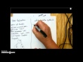 Molecular Biology Concepts and Processes