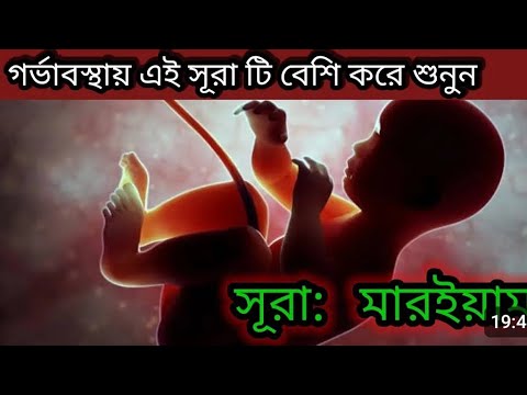 আস্সালামুআলাইকুম প্রিয় ভিউয়ার্স, কেমন আছেন সবাই? 💙🤲আমার আর অল্প কিছু বাকি আছে,।Please Saport Me 🙏