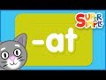 Understanding A-T Word Family Concepts