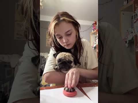 Приветик всем)