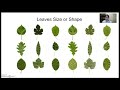 Inherited Traits and Plant Characteristics