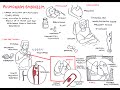 Pulmonary Embolism Concepts Assessment