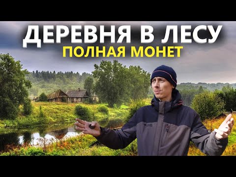 Кладоискатель вынес более 300 монет с деревни в лесу за 3 года. Коп поиск монет 2024