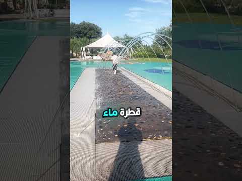 سنة كاملة بلا ألعاب
