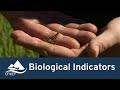 Montana Water Health Indicators