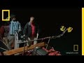 Understanding Squid Behavior and Biology