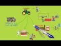 Local Food Systems Challenges and Strategies