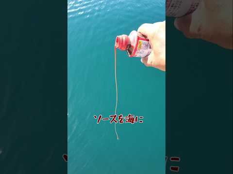濃厚ソースを海に流すと大変なことになった!