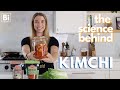 Understanding Kimchi Fermentation Process