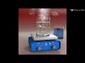 Exploring Density and Convection Currents