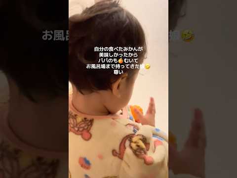 みかんが美味しかったから…/The mandarins were delicious, so I brought some for my dad. #赤ちゃん #baby