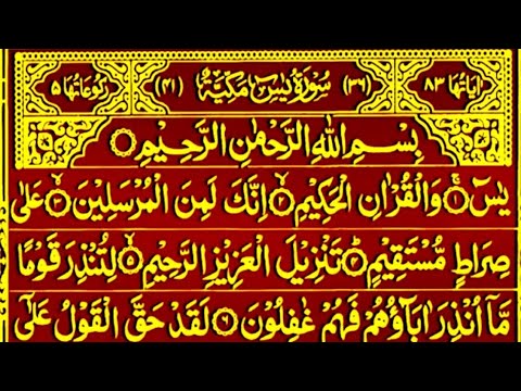 Surah Yaseen Surah Rahman || Most Qur'an Recitation || Surah Yasin full || Yaseen Sharif Full