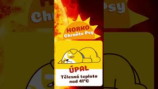 Chraňte psa před extrémním letním počasí ☀️🔥