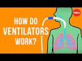 Understanding Mechanical Ventilation