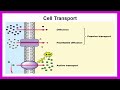 Exploring Cell Membrane and Transport Concepts
