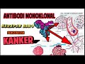 Kanker dan Terapi Antibodi Monoklonal