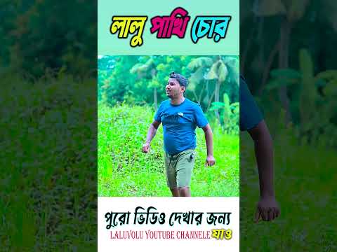 লালু পাখি চোর  || pakhi comedy || #laluvolushorts #hablugoblu #shortsvideo