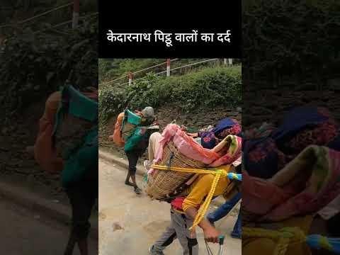 केदारनाथ के असली बाहुबली, है किसी में इनके बराबर हिम्मत, #kedarnath #chardham