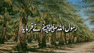 Bukhari Sharif Ki Hadees 646 to 1337 | Sahih Al Bukhari Hadith | Sahih Bukhari | Islamic Studio