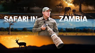 Why THIS may be the best wildlife photo destination in the world!