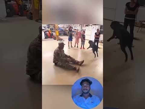 Animals get excited when they see their owners again ❤️ #pet #cat #dog #cute#animals #foryou #typ