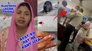 AYAT ko 9 injections lagne wale hain 😭 🐀RAT ne bohot Buri tarike se kant liya 😢