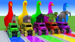 Paint Animals Tiger, Hippopotamus, Gorilla,Bear, Dinosaur, Elephant Fountain Crossing Animal