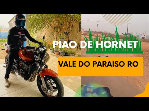 PIÃO DE HORNET NA CIDADE VALE DO PARAÍSO RONDÔNIA