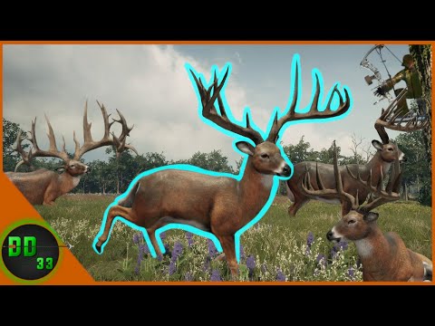 Day 17 Of Our Great One Hunt! 230+ Bucks Everywhere! Call Of The Wild