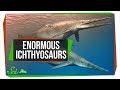 Paleontology Discoveries and Debates