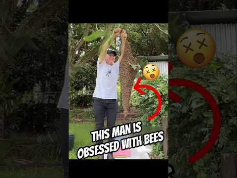 This man is obsessed with bees #animals #wildliferescue #bees