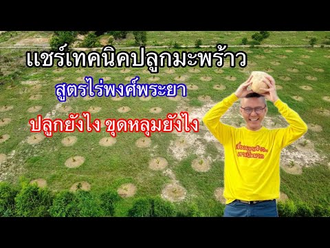 EP:47ระยะห่างในการปลูกมะพร้าวที่ให้ผลผลิตดีที่สุด