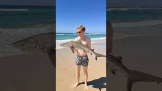 Austrálie je nebezpečná, nechoď do moře!