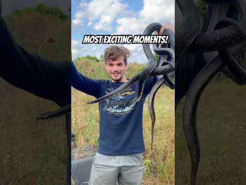 Take a Look at My Most Exciting Clips From My First Few Years of Looking For Snakes! #snake #nature