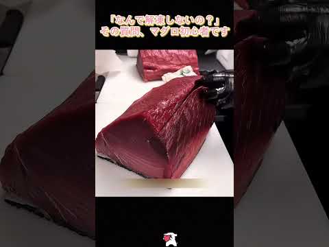 「なんで解凍しないの?」——その質問、マグロ初心者です#マグロ #解体ショー #お寿司 #マグロの話 #食の知識 #プロの技 #中トロ #大トロ #冷凍技術