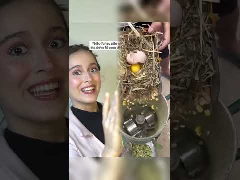 theforyou #music #funny #viralvideo