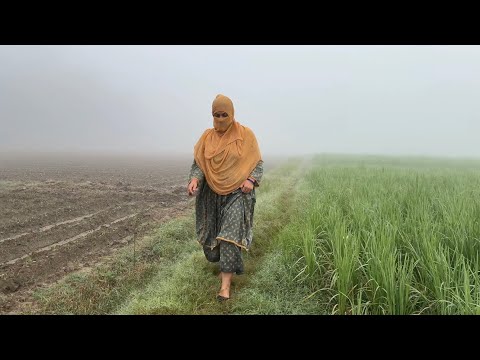 Morning walk routine village Shinwari Chicken Karahi Recipe, Peshawari Chicken Karahi Chicken Recipe