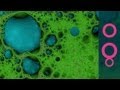Microalgae Energy Production Concepts