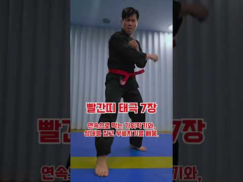 (흰띠~검은띠) 품새 분석!!!♡