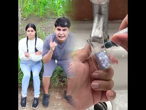 SE CONVIRTIÓ EN UN GRILLO 🦗🎋 @STEFY