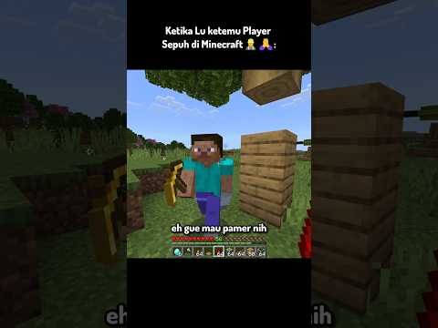 Ketika Lu Ketemu Player Sepuh Di Minecraft 👷