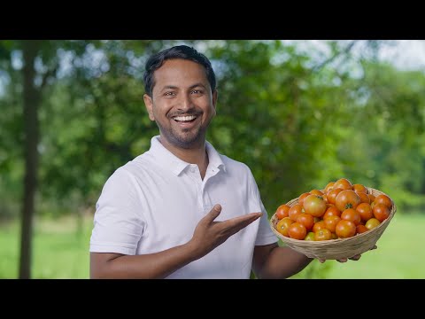 टमाटर खेती 🍅 से पैसा कमाए और मेरा नया सिंचाई सिस्टम देखो 💧🚜 | INDIAN FARMER COMMUNITY